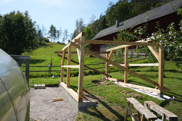 Duck shelter, part 3: Raising the frame